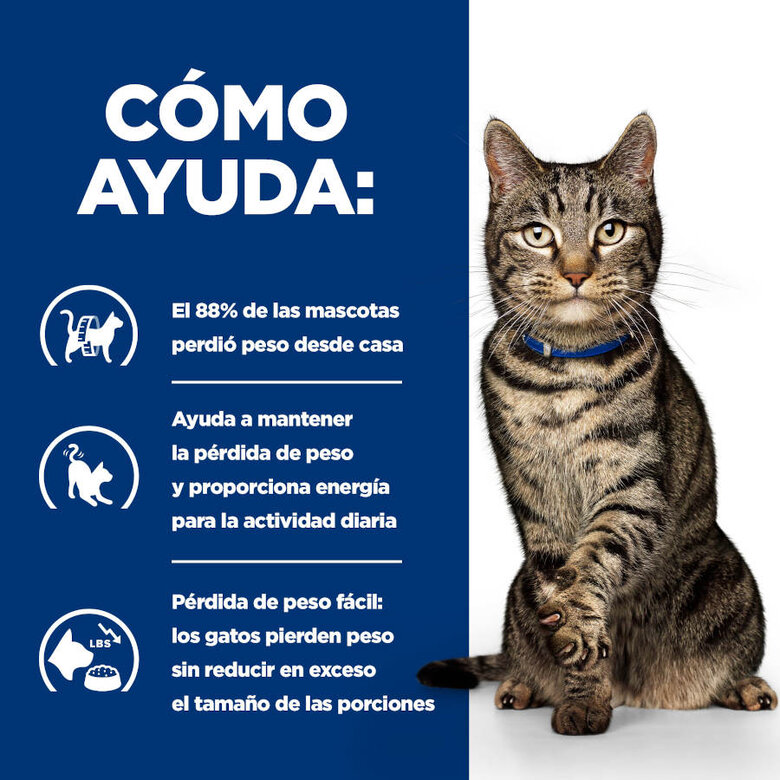 12 saquetas x 85 g Hill's Prescription Diet Metabólico Controlo de Peso Peixe Saqueta com Molho para gatos,  Imagem número 3 12 saquetas x 85 g Hill's Prescription Diet Metabólico Controlo de Peso Peixe Saqueta com Molho para gatos, , large Imagem número 3